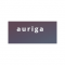 Auriga Partners logo