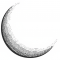 Crescent Crypto Platform LP - Digital Opportunities Fund logo
