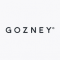 Gozney Group Ltd logo