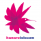Hanaro Telecom logo