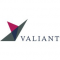 Valiant Capital Management LP logo