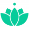 Zendrive Inc logo