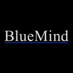 Bluemind Capital logo