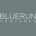 BlueRun Ventures logo