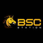 BSC Station logo