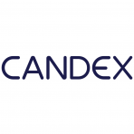 Candex Solutions Inc logo