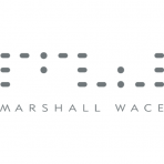 Marshall Wace Funds PLC - MW Global Financials Market Neutral Fund logo