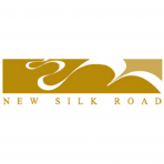 New Silk Road Investment Pte Ltd logo