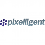 Pixelligent Technologies LLC logo