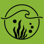Rising Tide Co-op logo