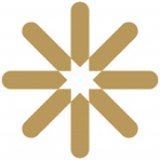Skyryse Inc logo