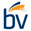 BVIP Fund VIII LP logo