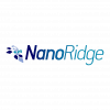 NanoRidge Materials Inc logo