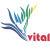 Vital Venture Capital logo