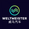 WM Motor Technology Group Company Ltd logo